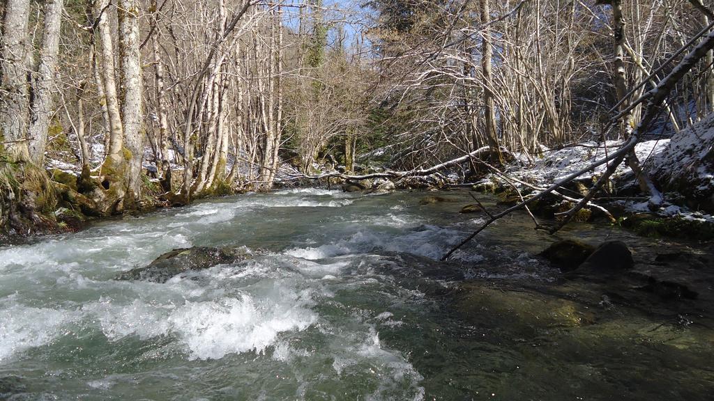 Gites Le Paradoxe Des Pyrenees Montferrier Room photo