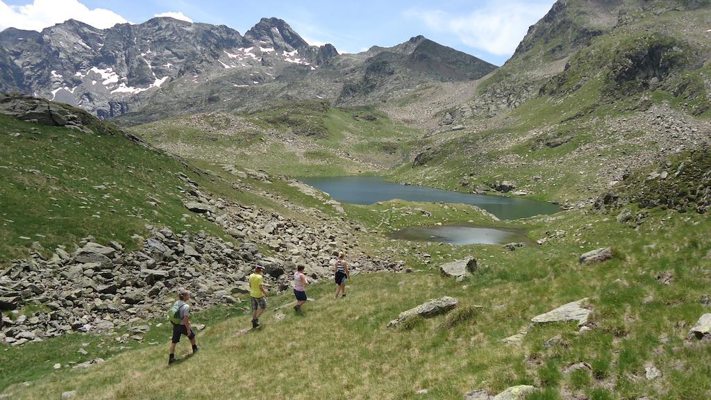 Gites Le Paradoxe Des Pyrenees Montferrier Room photo