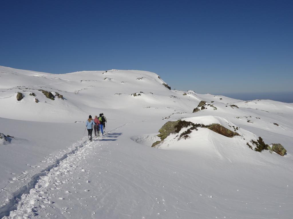 Gites Le Paradoxe Des Pyrenees Montferrier Room photo